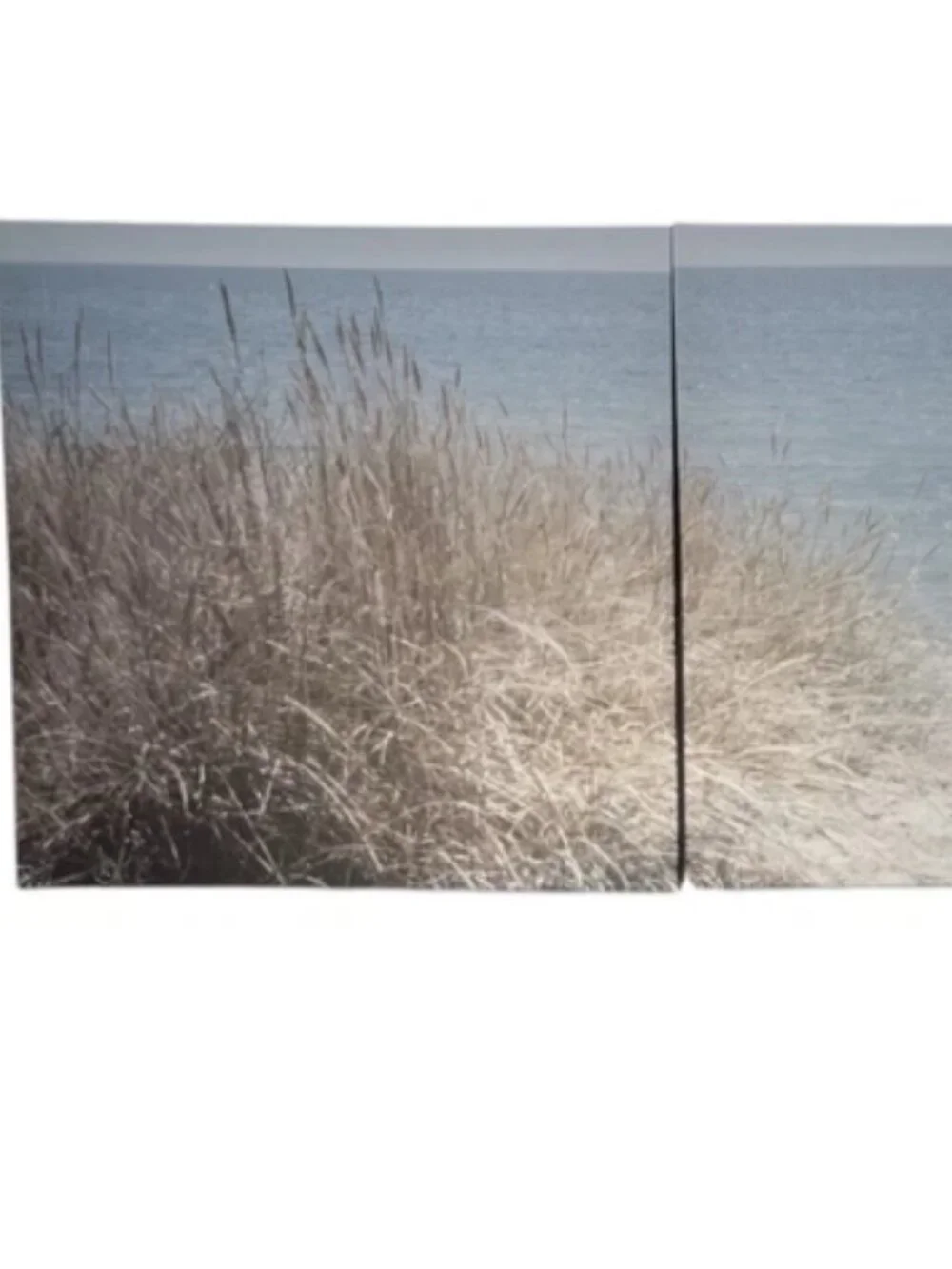 PJÄTTERYD 406.020.18 Picture, Swedish sand dunes, 22x22 